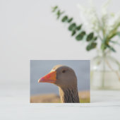 Inquisitieve Greylag Goose Visitekaartje (Staand voorkant)