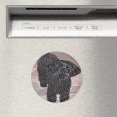 Inquisitieve Yorkie Poo Magneet (Insitu (Vaatwasser))