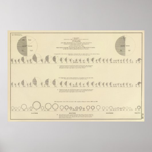 Insane, statistische Amerikaanse lithograaf 1870 Poster (Voorkant)