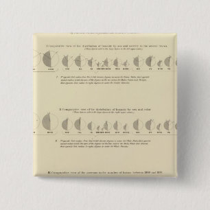 Insane, statistische Amerikaanse lithograaf 1870 Vierkante Button 5,1 Cm