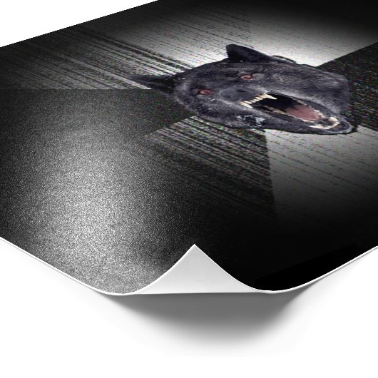 Insanity Wolf Meme Foto Afdruk (Hoek)