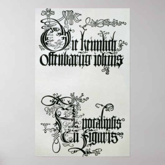 Inscripties in Gothic script Poster (Voorkant)