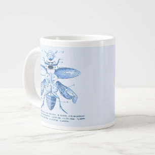  Insect Afbeelding   Beetels   Blauw Grote Koffiekop