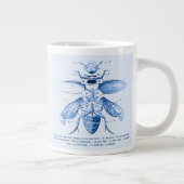  Insect Afbeelding | Beetels | Blauw Grote Koffiekop (Rechts)