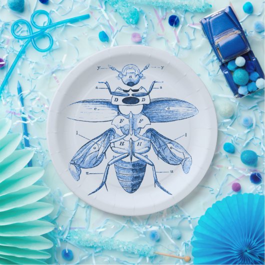  Insect Afbeelding | Beetels | Blauw Papieren Bordje (Feest)
