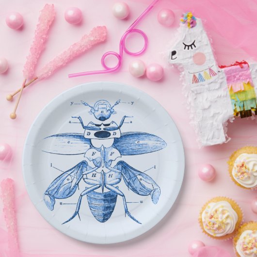  Insect Afbeelding | Beetels | Blauw Papieren Bordje (Feest)