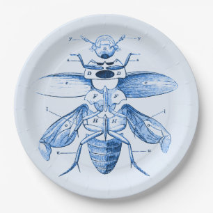 Insect Afbeelding Beetels Blauw Papieren Bordje