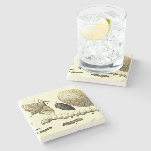  Insect Afbeelding | Zijderupsen | Maand Stenen Onderzetter (Zijkant)