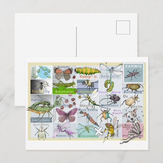 Insect Alphabet Briefkaart (Voorkant / Achterkant)