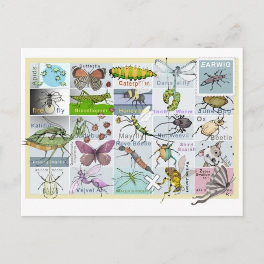 Insect Alphabet Briefkaart (Voorkant)