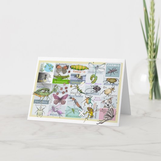 Insect Alphabet Kaart (Voorkant)