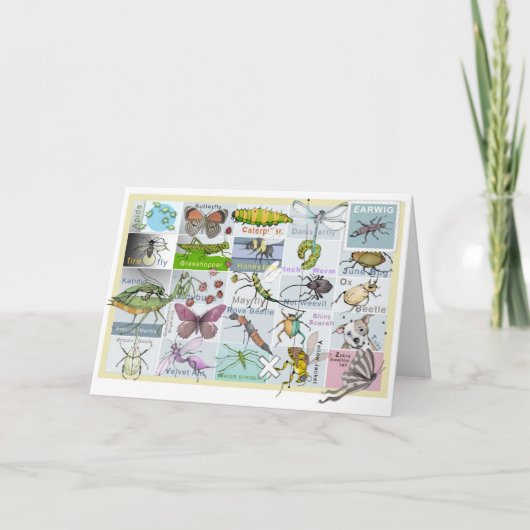 Insect Alphabet Kaart (Voorkant)