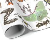 Insect and Bug Alphabet - Creepy Crawlies voor kin Cadeaupapier (Rol Hoek)