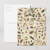 Insect and Bugs Chart Entomology Briefkaart (Voorkant / Achterkant)