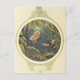  Insect Briefkaart