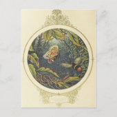  Insect Briefkaart (Voorkant)