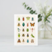 Insect Collage Illustratie Briefkaart (Staand voorkant)