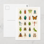 Insect Collage Illustratie Briefkaart (Voorkant / Achterkant)