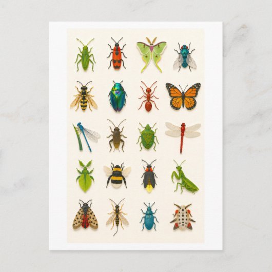 Insect Collage Illustratie Briefkaart (Voorkant)