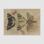 Insect Collage No.501 Tissuepapier (Voorkant)