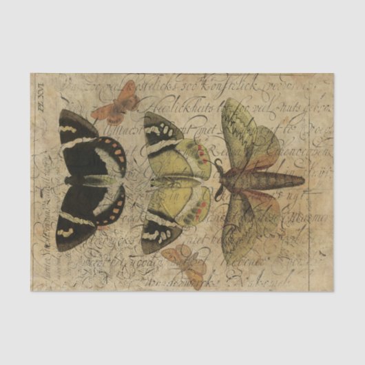 Insect Collage No.501 Tissuepapier (Voorkant)