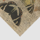 Insect Collage No.501 Tissuepapier (Detail)