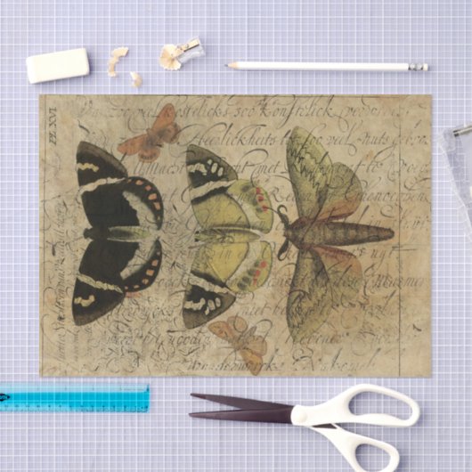 Insect Collage No.501 Tissuepapier (Craft)