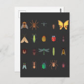 Insect Collectie Tekening Cute Entomology Briefkaart (Voorkant / Achterkant)