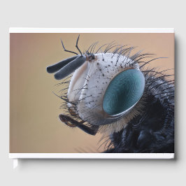 Insect dichtbij de kop gastenboek