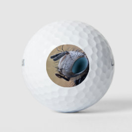 Insect dichtbij de kop golfballen