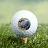 Insect dichtbij de kop golfballen (Insitu Shirt)