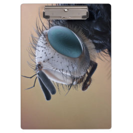 Insect dichtbij de kop klembord