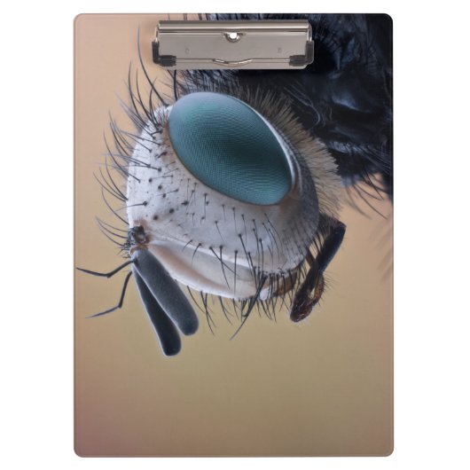 Insect dichtbij de kop klembord (Voorkant)