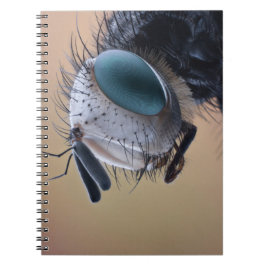 Insect dichtbij de kop notitieboek