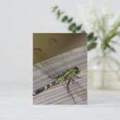 Insect Dragonfly Briefkaart (Staand voorkant)