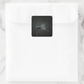 Insect - Dragonfly Wings Vierkante Sticker (Tas)
