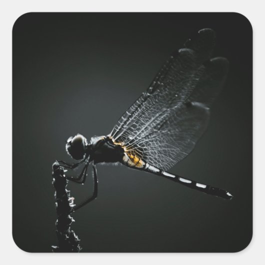 Insect - Dragonfly Wings Vierkante Sticker (Voorkant)