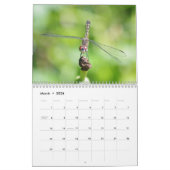 Insect fasceringskalender kalender (Mar 2026)