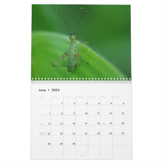 Insect fasceringskalender kalender (Jun 2026)