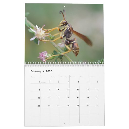 Insect fasceringskalender kalender (Feb 2026)