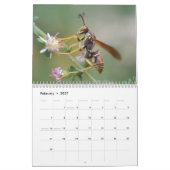 Insect fasceringskalender kalender (Feb 2027)