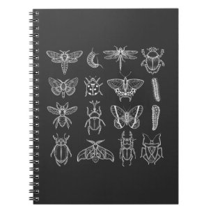 Insect Funny Entomologist Bug Catcher Entomology Notitieboek