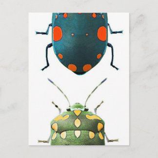 Insect gekleurd briefkaart