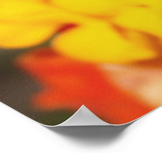 Insect herfst poster (Hoek)