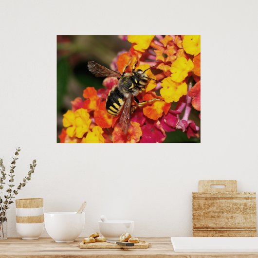Insect herfst poster (Keuken)