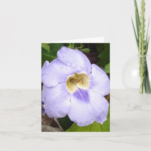 Insect in Residence bloemenkaart v2 Kaart (Voorkant)