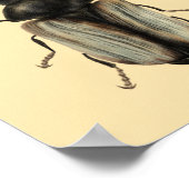 Insect Lover Beetle Art Poster (Hoek)