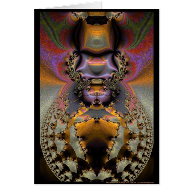 Insect Mandala (Voorkant)