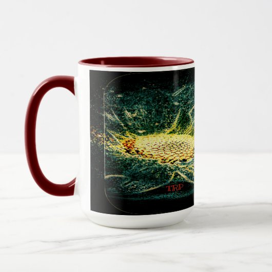 Insect Models: Ladybug Life 01-03 Mok (Links)