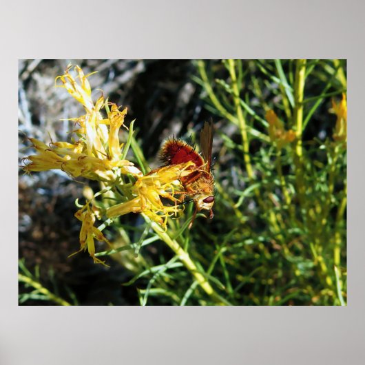 Insect op een ventilator poster (Voorkant)